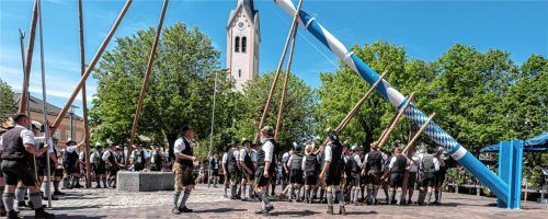 Komplizierte Choreografie: Dass der Baum schon nach Kurzem gerade in den Himmel ragte, war Verdienst der gut orchestrierten Aufsteller. Fotos Thomae