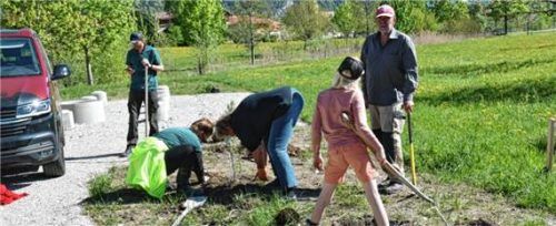 Mit Hacke und Schaufel haben die Mitglieder des Schlechinger Gartenbauvereins Sträucher gepflanzt.Foto Wunderlich