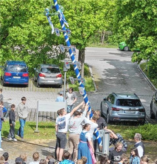 Mit vereinten Kräften wurde der Maibaum aufgestellt.Foto  re