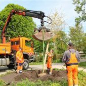 Kolbermoor pflanzt neu