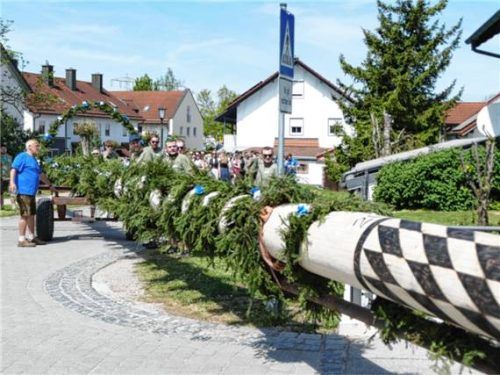 Nach zähen Verhandlungen über die Auslöse brachten die Diebe den Maibaum nach Kraiburg zurück. Fotos  Bachmaier