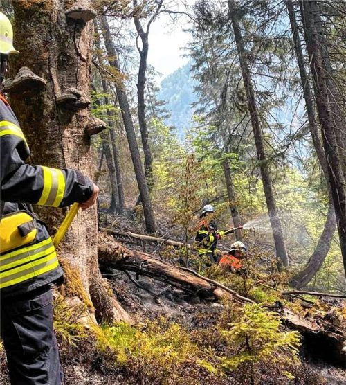 Nachdem sich das Feuer vom Gipfelbereich seit Sonntagabend in die Täler ausgebreitet hat, kommen die Feuerwehrkräfte auch im Boden zum Löscheinsatz. Foto kreisfeuerwehrverband Traunstein,