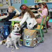 Vier Pfoten im Klassenzimmer