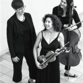 Kammermusik mit dem „Trio Sol“