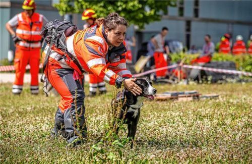 Vierbeiner gehören zu vielen Rettungseinsätzen dazu.