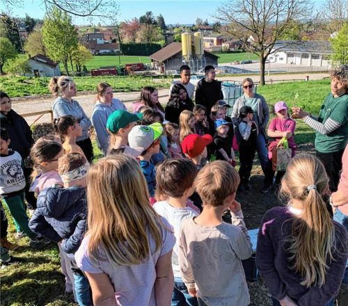 Wachsende Begeisterung: Die Kinder der beiden ersten Klassen und die Praxisklasse pflanzen gemeinsam Gemüse an. Foto Sutherland