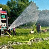 Feuerwehr als Amphibienretter