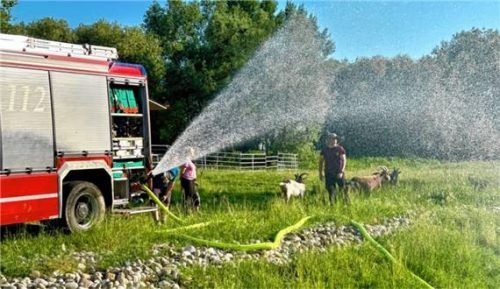 „Wasser marsch!“ Der Tümpel wird mit 10.000 Litern Wasser aufgefüllt. Foto re