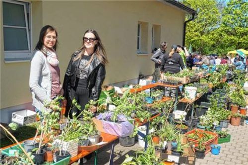 Zahlreiche Pflänzchen und Setzlinge warteten auf die Besucher der Maifeier. Fotos  Becker