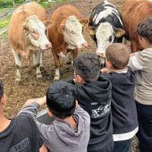 Wasserburger Grundschüler besuchen Bauernhof