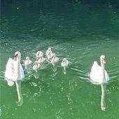 Familienausflug am Wochenende