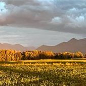 Farbenpracht am Herrenberg