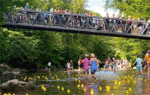 Ab Anfang Juli  sind die gelben Gummienten für das Rennen erhältlich. Diese werden in allen Priener Kindertagesstätten, in der Sparkasse Prien, im Tourismusbüro Prien und natürlich auf dem „Priener Kindersommer Fest“ am Lions-Stand zum Verkauf angeboten. Foto Prien