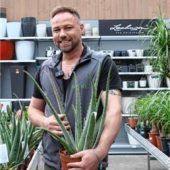 Sie helfen bei Sonnenbrand und Mückenstichen