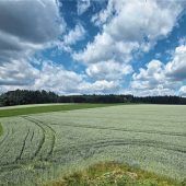 Tierwohl und Masthaltung verbinden