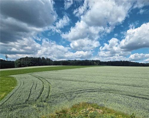 Auf dieser Fläche in Kolbing bei Schnaitsee soll ein Masthähnchenstall der Haltungsform drei gebaut werden. Betreiber und ein Berater klärten im Gemeinderat auf. Foto Hinmüller