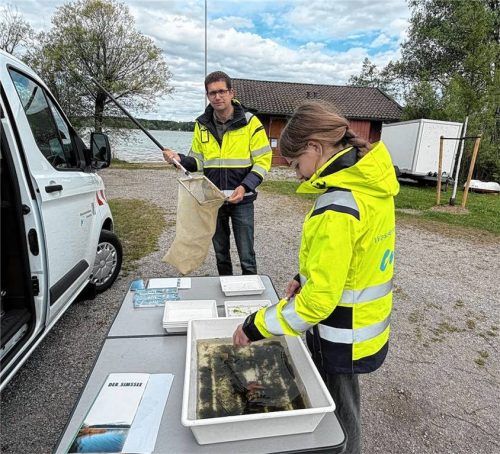 Biologieassistent Martin Mertl vom WWA und Praktikantin Johanna Mertl untersuchen Wasserproben auf im Uferbereich des Simssees lebende Tiere. Foto Kirchner