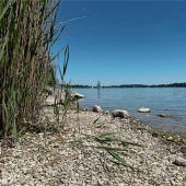 Historisch wenig Wasser