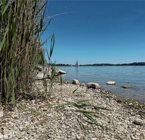 Der niedrige Wasserpegel des Chiemsees ist ein Problem für die Chiemsee-Schifffahrt. Foto Nägele
