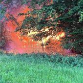 Brandserie beunruhigt Rohrdorf
