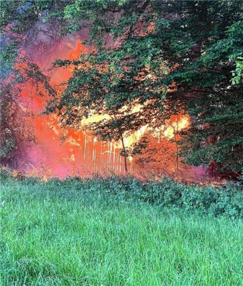 Die Hütte bei Rohrdorf stand in Vollbrand. Foto PP OBS