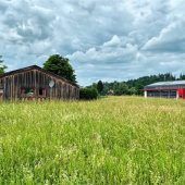 Dirtpark für Seeoner Jugend