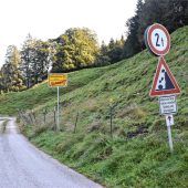 Diskussion über umstrittene Hundesteuer