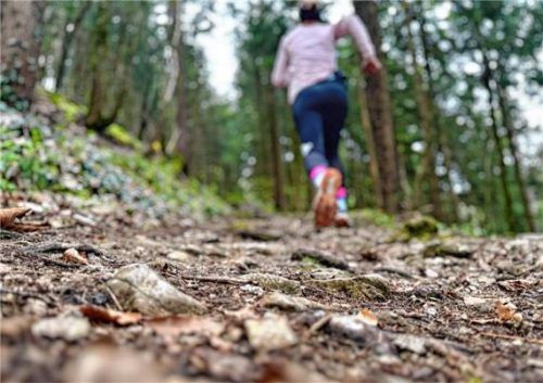 Die Tourist-Information Grassau und Rottau lädt gemeinsam mit Trailrunning-Guide Christine Pfleger zu vier kostenlosen geführten Läufen durch die Chiemgauer Natur ein. Foto re