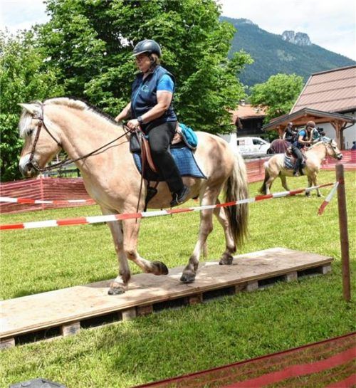 Dieses Pferd hatte mit der kniffligen „Station Brücke“ offensichtlich kein Problem. Foto Sybilla Wunderlich