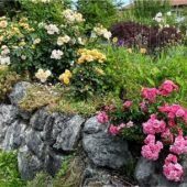 Große Garten-Aktion in Rottau