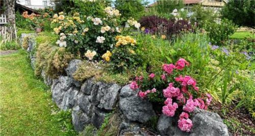 Ein herrlicher Bauerngarten mit einer bunt bepflanzten Natursteinmauer und üppig blühenden Rosen. Foto Adersberger