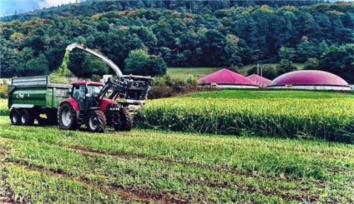 Energie aus der Landwirtschaft ist hoch angesehen.