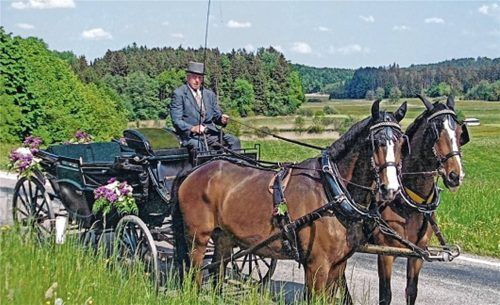 Familie, Freunde und Vereinskameraden haben in Breitbrunn Abschied von Martin Kurzlechner genommen, der im Alter von 94 Jahren verstorben ist. Der Pferdefachmann und Ausbilder hinterließ im Reit- und Fahrsport des Chiemgaus bleibende Spuren.Foto Herdegen