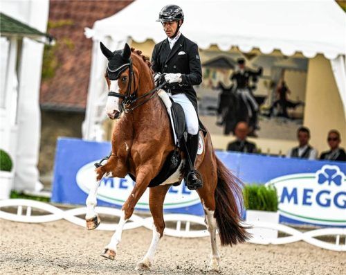 Glück im Unglück: Benjamin Werndl verpasste mit Quick Decision krankheitsbedingt den Grand Prix Special in Balve, Quicks ist aber auf dem Weg der Besserung.Foto Imago