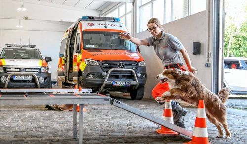 Hanna Krichbaumer und Australian Shepherd Balu trainieren für die Landesmeisterschaft der Johanniter. Fotos  Bieber