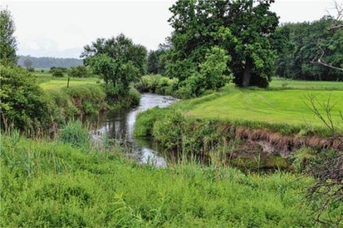 Im Bereich der Glonn in Maxlrain wurden Mitte April mehrere Biber entdeckt, die gewaltsam getötet wurden. Foto Hadersbeck