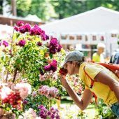 Fast 140 Aussteller in den beiden Stadtparks