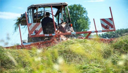 Landwirte werden heute vielfach mit Umweltproblemen, falscher Tierhaltung oder Flächenverbrauch in Verbindung gebracht, obwohl die bayerischen Betriebe im internationalen Vergleich unter sehr hohen Standards produzierten. Auch das wurde auf der Jahresversammlung der ELF Rosenheim kritisiert. Foto dpa