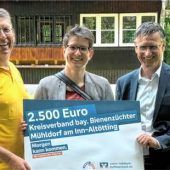 Fleißige Bienen in der Region