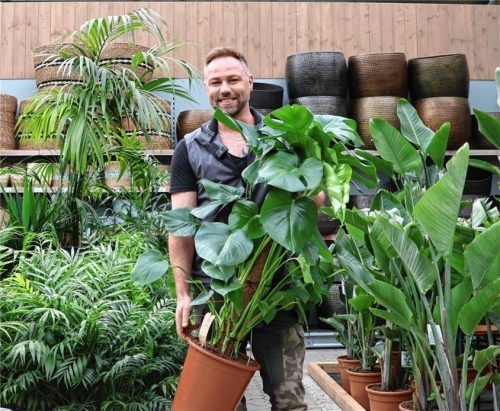 Matthias Wenig inmitten von Pflanzen. Er ist Florist beim Gartencenter Nickl in Rosenheim und kennt sich mit Pflanzen und deren Wirkungen aus. In den Händen hat er auf diesem Foto eine Monstera Deliciosa. Fotos Mischner