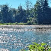 Niedrigwasser bremst Bootsfahrer aus