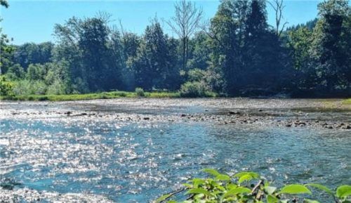 Niedriger Wasserstand auf der Alz: Kiesbänke, Steine und flache Passagen erschweren die Befahrung zum Saisonstart deutlich. Foto Landratsamt Traunstein