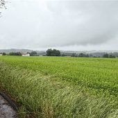 Grünes Licht für neues Wohnen