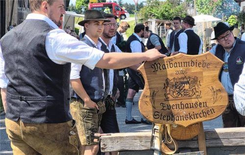 Pünktlich und festlich geschmückt lieferten die Maibaumdiebe aus Evenhausen-Stephanskirchen den Traditionsstamm in Hinzing ab. Foto Künzner-Hingerl