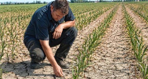 Trockenphasen machen deutlich, wie wichtig Wasser als Produktionsfaktor in der Landwirtschaft geworden ist.Foto ki