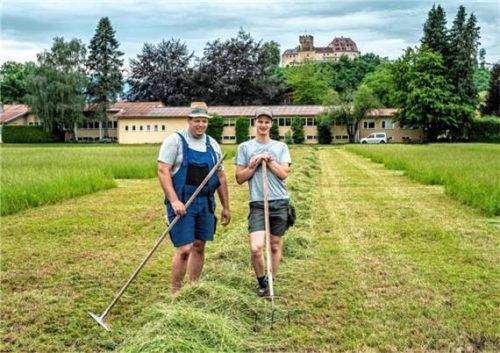 Vor der Kulisse von Schloss Neubeuern werden die Wiesen für die deutsche Meisterschaft im Handmähen vorbereitet. Morgen messen sich dort Kinder, Jugendliche, Frauen und Männer mit der Sense – gefragt sind Tempo, Technik und ein sauberes Mähbild. Foto Rainer Nitzsche