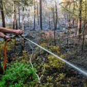Regen kommt Einsatzkräften zu Hilfe – Lage im Chiemseemoos entspannt sich