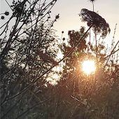 Morgenstund hat Gold im Mund