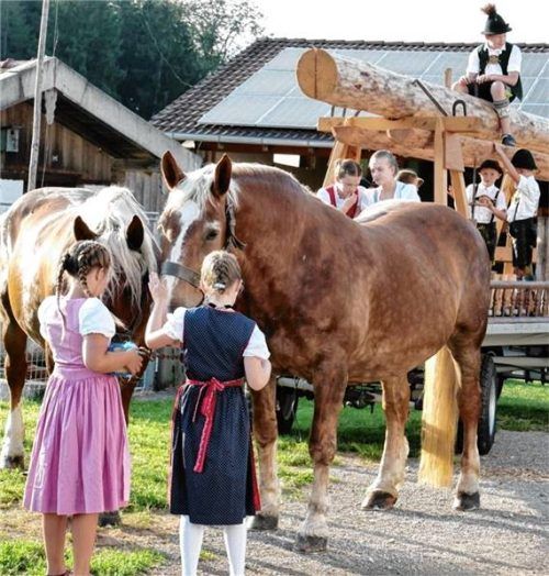 Der GTEV Ratzingerhöh mit Motivwagen.Foto Hötzelsperger