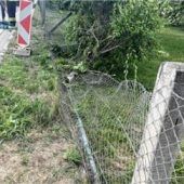 <p>Der Maschendrahtzaun an der Grundstücksgrenze des 87-jährigen Seniors muss nun erneuert werden. Er wurde vom Anhänger und der schweren Ladung stark beschädigt. Foto Polizei Rosenheim</p>